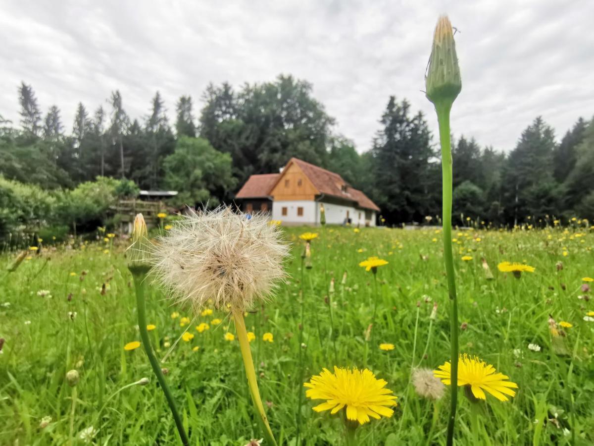 Ferienhaus Grabenhansl Stubenberg Exterior photo