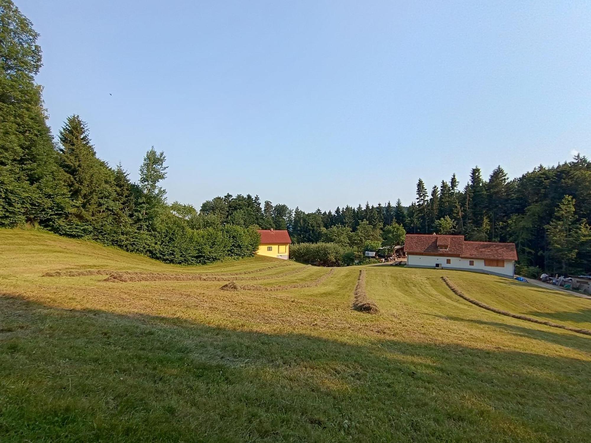 Ferienhaus Grabenhansl Stubenberg Exterior photo